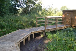 Timber boardwalk and bridge