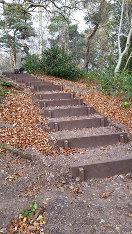 Recycled plastic steps