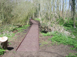 Recycled plastic boardwalk