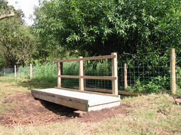 Timber pedestrian bridge