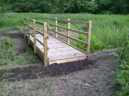 Timber pedestrian bridge with handrails