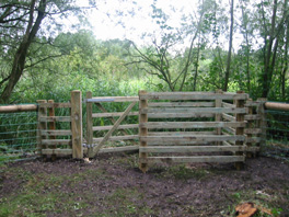 Kissing gate