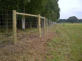 Deer fence