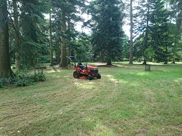 Amenity mowing