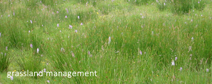 Grassland management