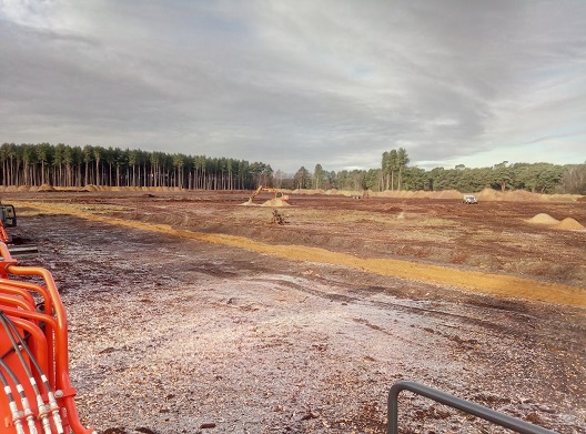 Restored heathland