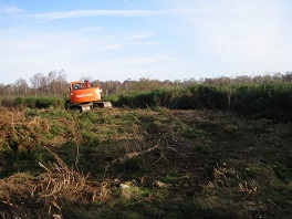 Reciprocating cutting of gorse