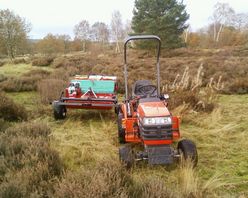 Heather seed harvesting