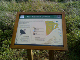 Interpretation board