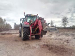 Stump grinding