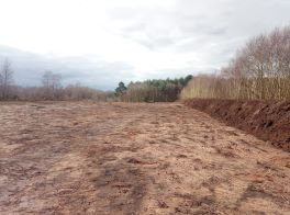 Restored heathland