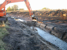 Wetland creation for the crane