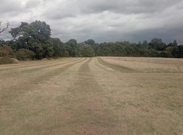 Mown grassland