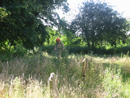 Brushcutting in churchyard