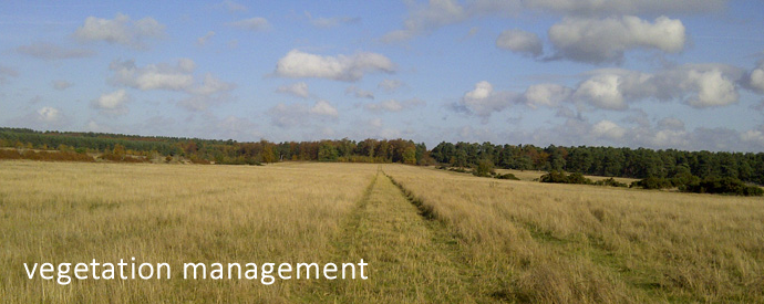 Vegetation management