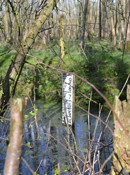 Gauge board