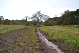 Cleaned out foot drain