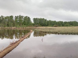 Erosion control