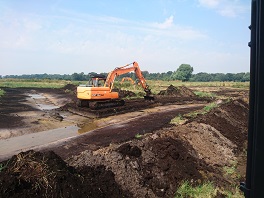 Wetland creation