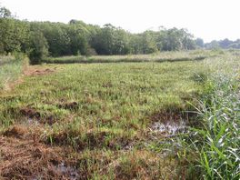 Rotation sedge cutting