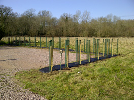 Hedge planting