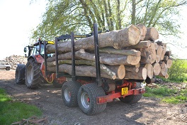 Loaded tractor forwarder
