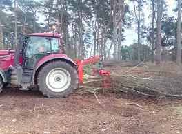 Skidder grapple