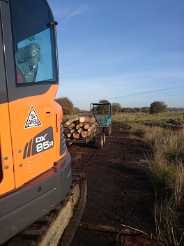 Timber extraction